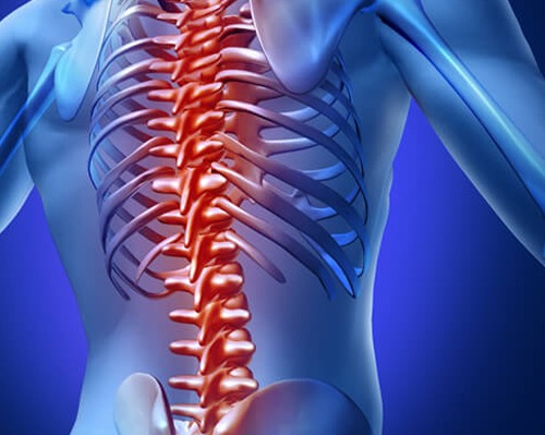 Acute Traumatic Spinal Cord Injuries